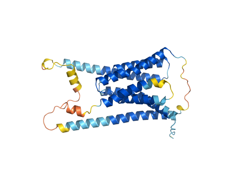 AlphaFold predicted structure of RTC2