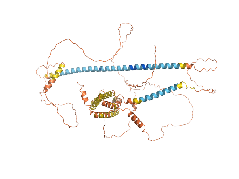 AlphaFold predicted structure of YSW1