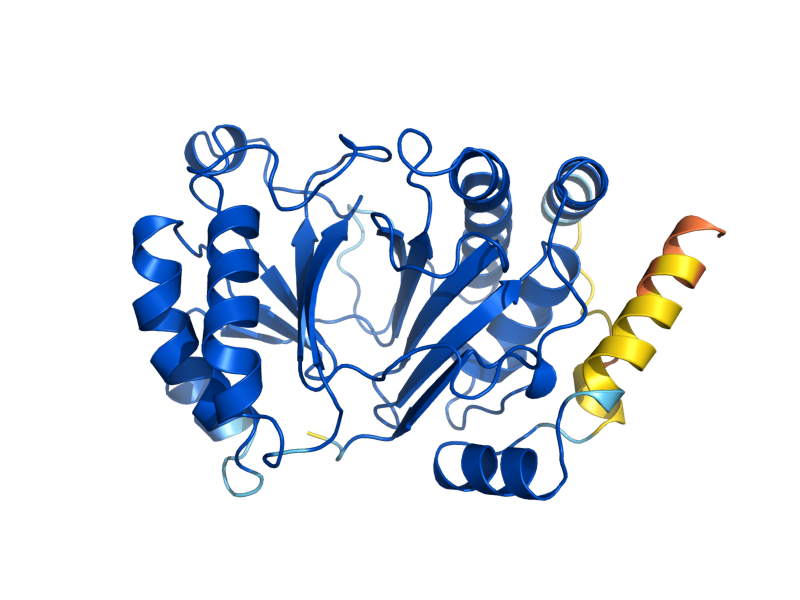 AlphaFold predicted structure of APD1