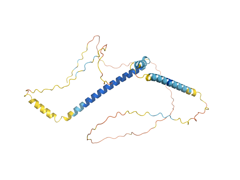 AlphaFold predicted structure of SPP381