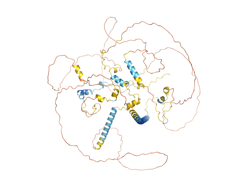 AlphaFold predicted structure of SLI15