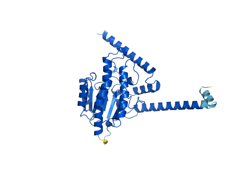 AlphaFold predicted structure of IFA38