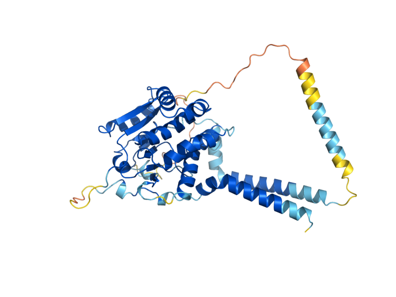 AlphaFold predicted structure of CSH1