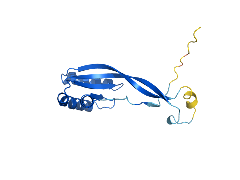 AlphaFold predicted structure of POP7