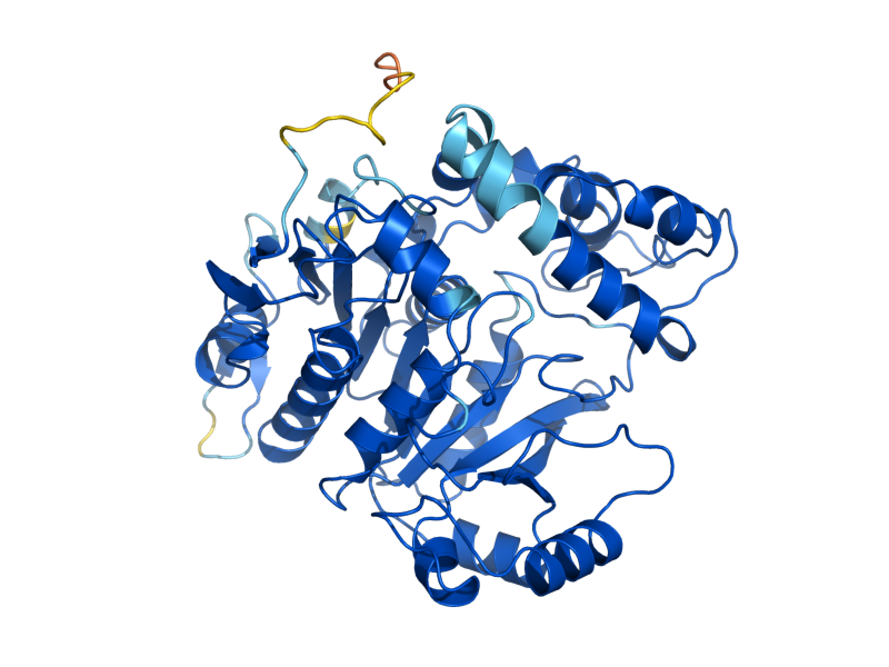 AlphaFold predicted structure of EHT1