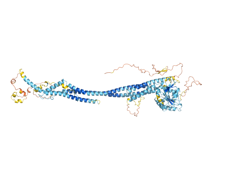 AlphaFold predicted structure of FZO1