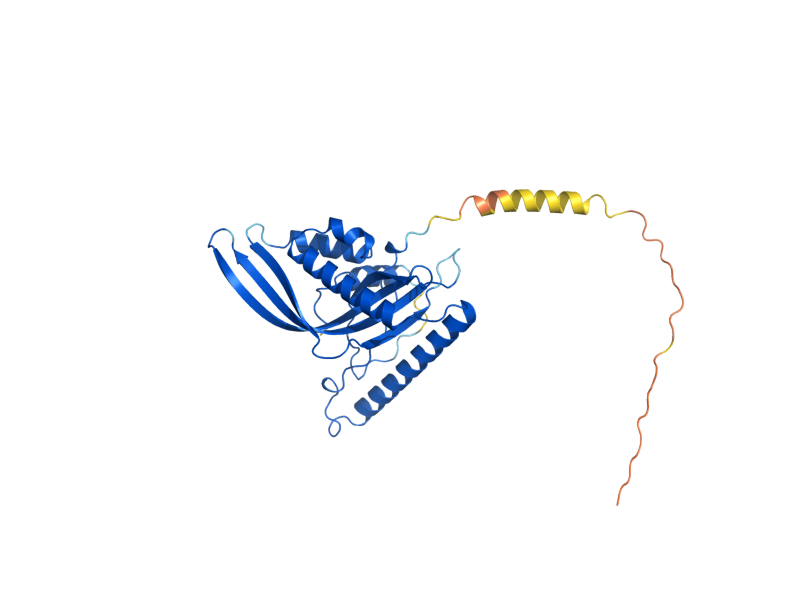 AlphaFold predicted structure of MBA1