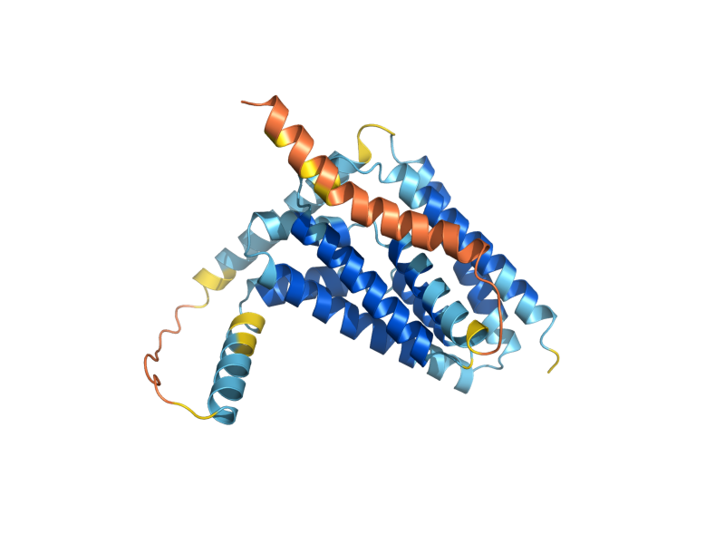 AlphaFold predicted structure of GDT1