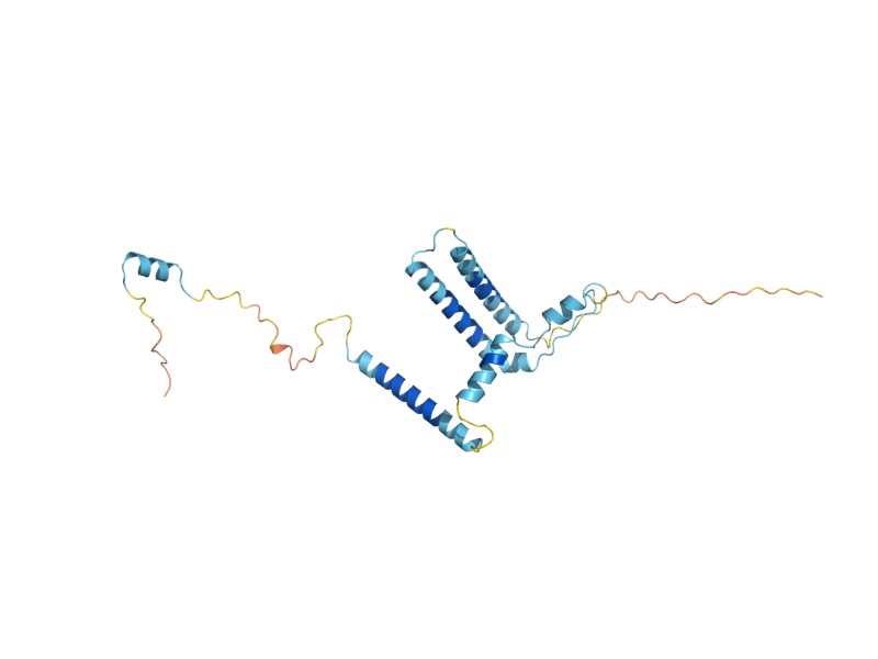 AlphaFold predicted structure of MED8