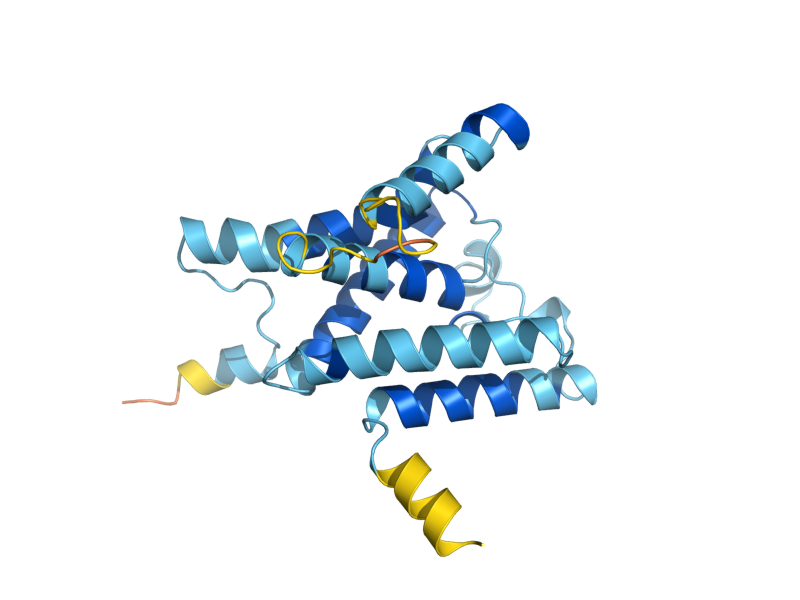 AlphaFold predicted structure of DER1