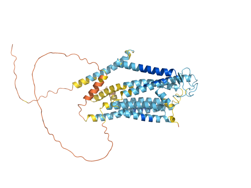 AlphaFold predicted structure of FTH1
