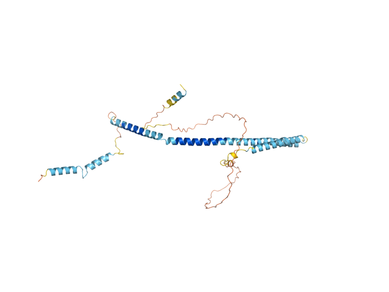AlphaFold predicted structure of AME1