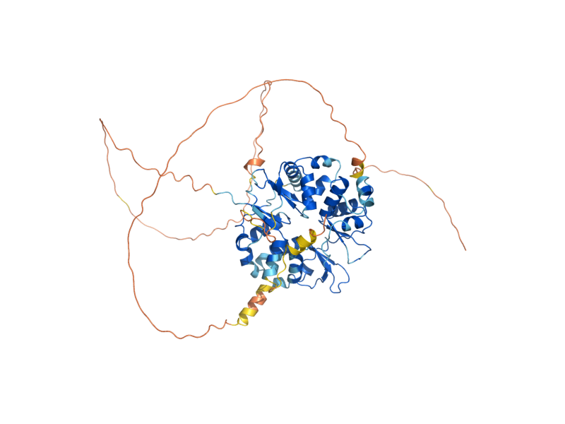 AlphaFold predicted structure of SDS24