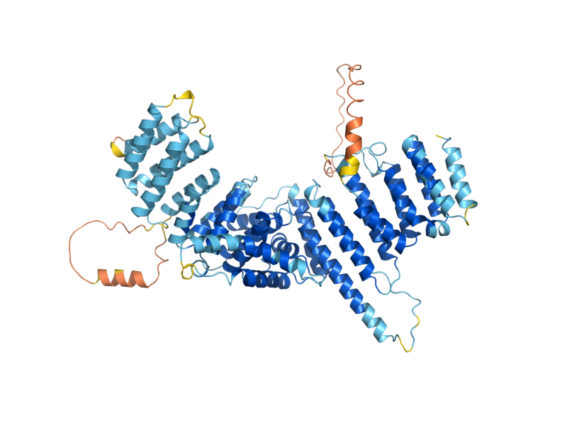 AlphaFold predicted structure of YBP1