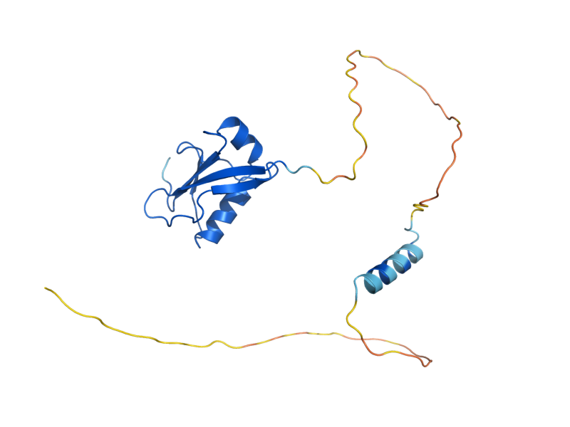 AlphaFold predicted structure of ATG12