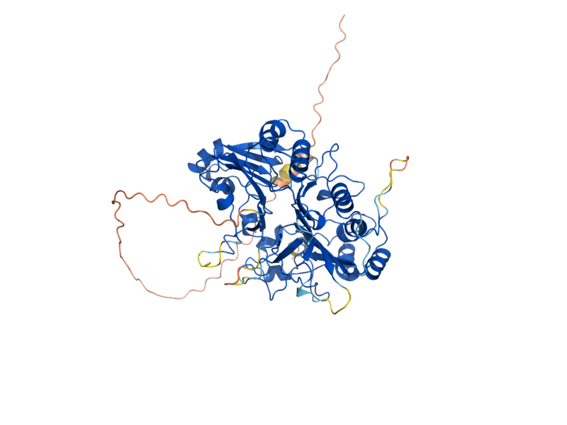 AlphaFold predicted structure of TDP1