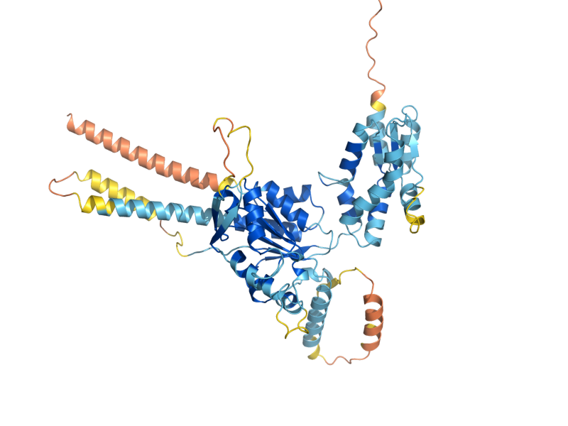 AlphaFold predicted structure of MCX1