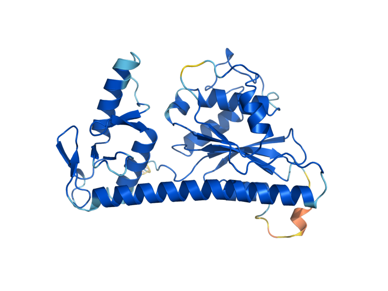 AlphaFold predicted structure of SLX1