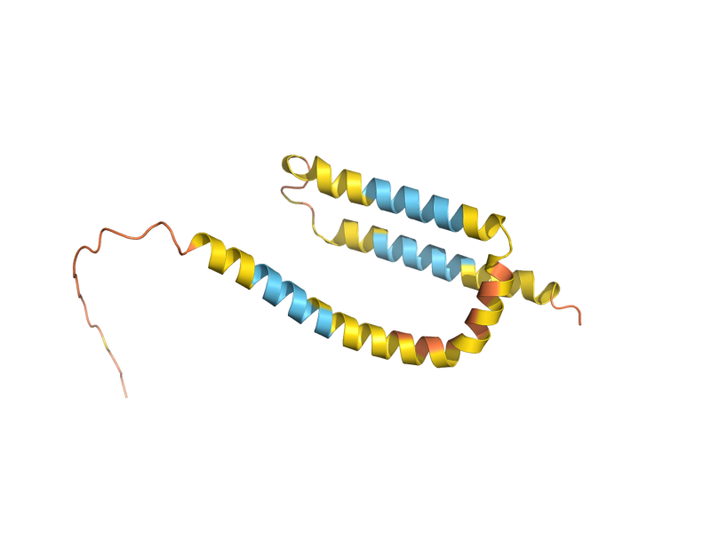 AlphaFold predicted structure of OM14