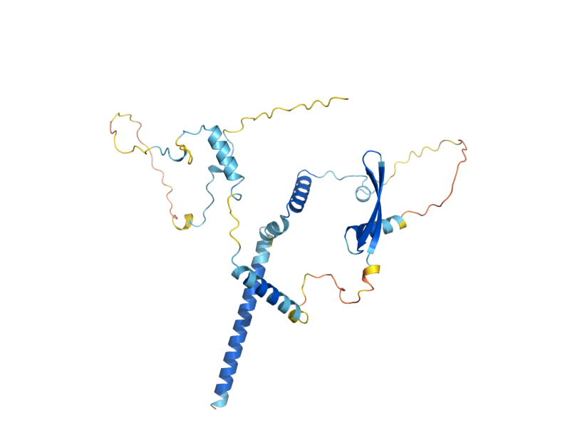 AlphaFold predicted structure of SWC5