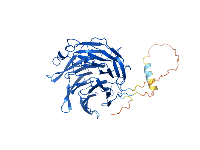 AlphaFold predicted structure of ARC40