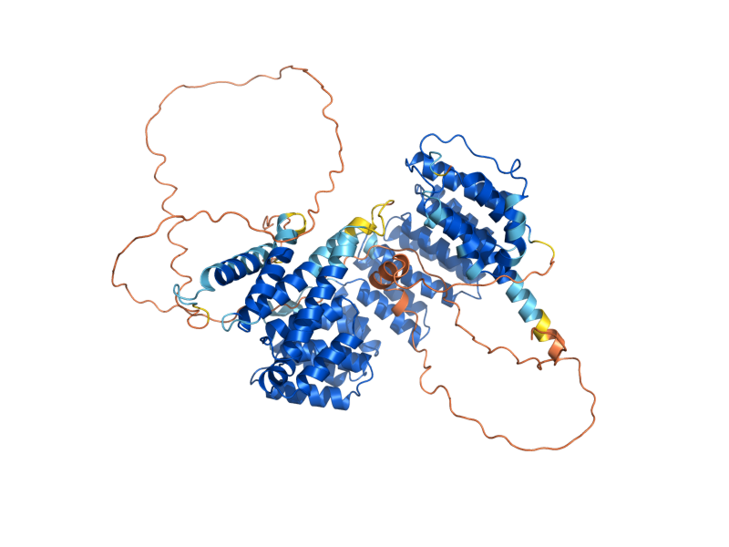 AlphaFold predicted structure of AAG1