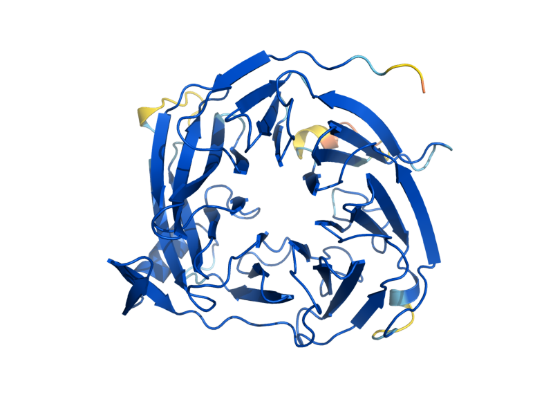 AlphaFold predicted structure of RRT2
