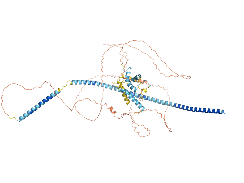 AlphaFold predicted structure of MTC4
