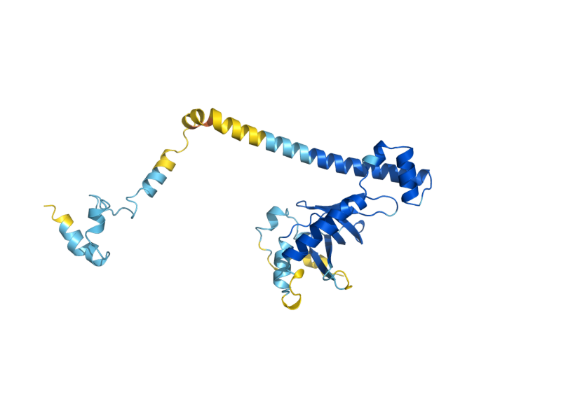 AlphaFold predicted structure of POP4