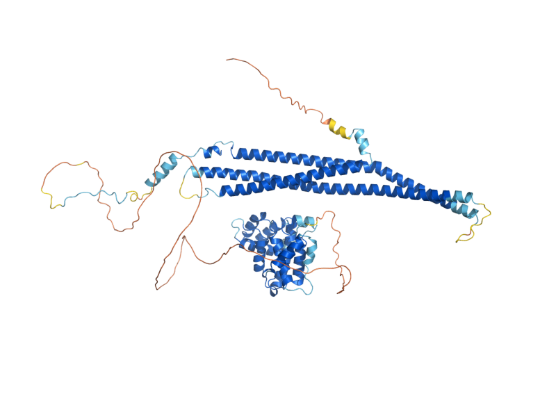 AlphaFold predicted structure of RGD1