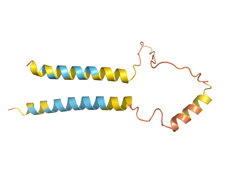 AlphaFold predicted structure of MIC12