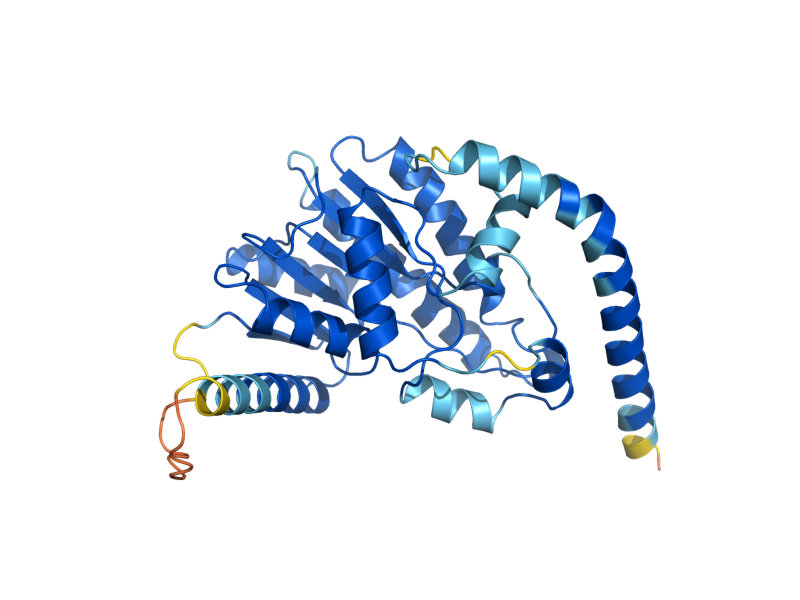 AlphaFold predicted structure of TSC10