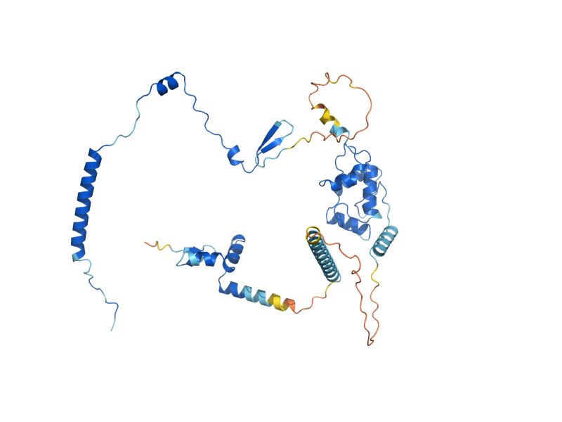 AlphaFold predicted structure of REI1