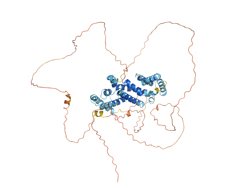 AlphaFold predicted structure of BIT2