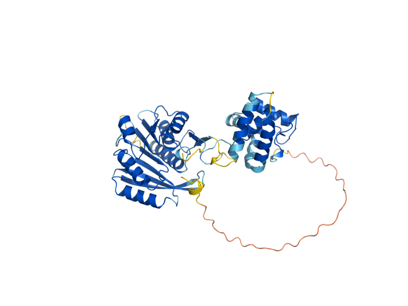 AlphaFold predicted structure of EFM2