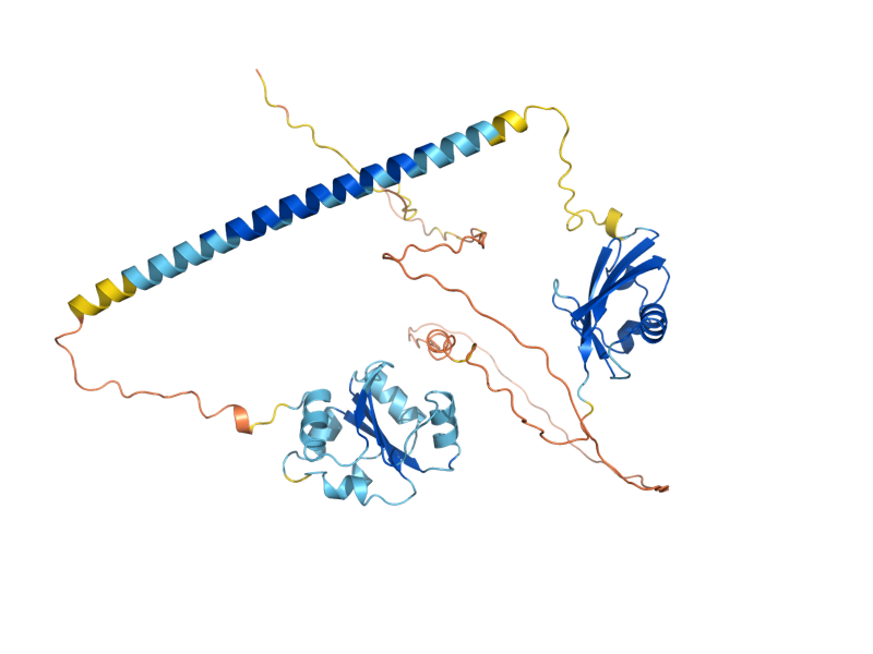 AlphaFold predicted structure of UBX7