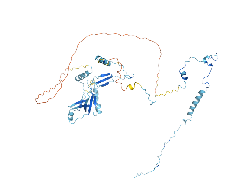 AlphaFold predicted structure of PAF1