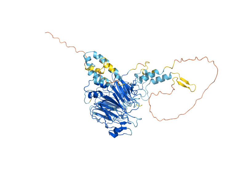 AlphaFold predicted structure of SAF1