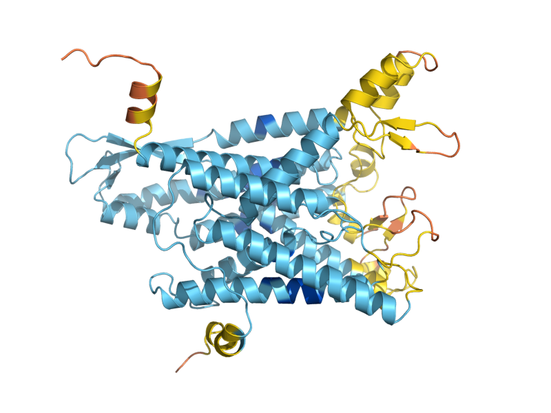 AlphaFold predicted structure of SSH1