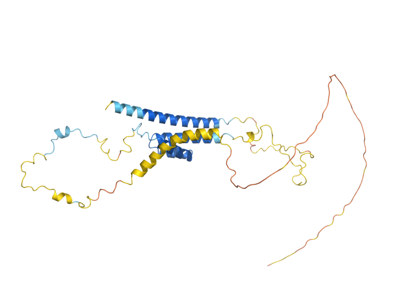 AlphaFold predicted structure of BSD2
