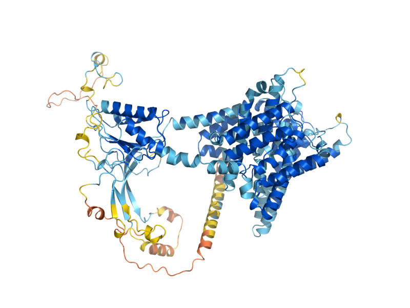 AlphaFold predicted structure of SUL1
