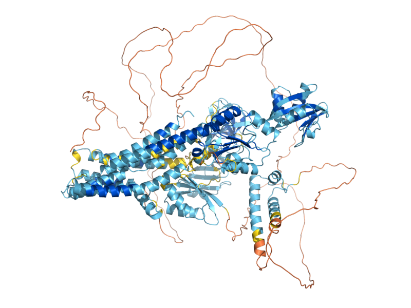 AlphaFold predicted structure of PCA1