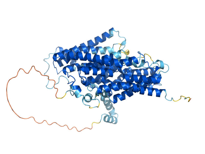 AlphaFold predicted structure of PHO89