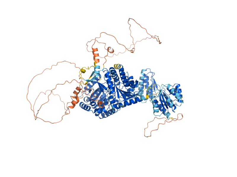 AlphaFold predicted structure of TSL1