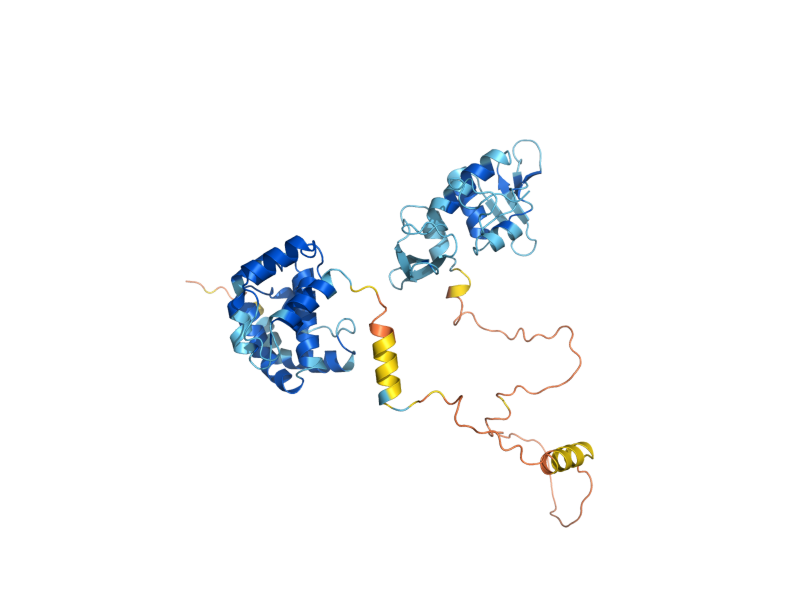AlphaFold predicted structure of TIF5