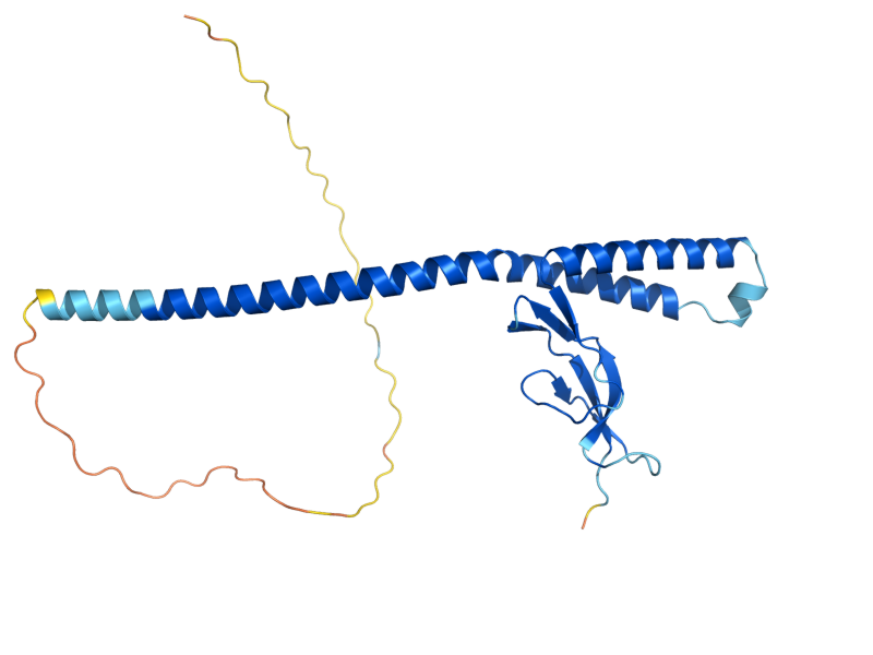 AlphaFold predicted structure of MGE1