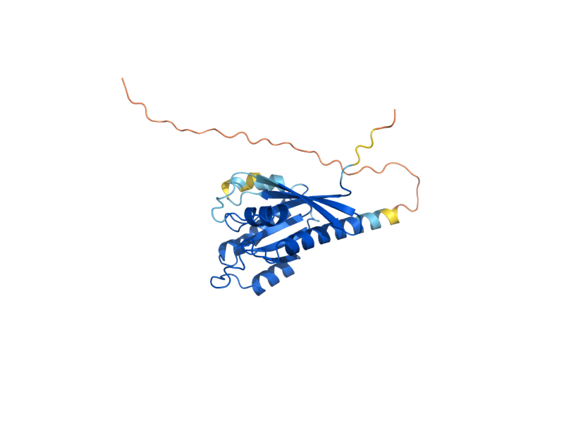AlphaFold predicted structure of YPT31