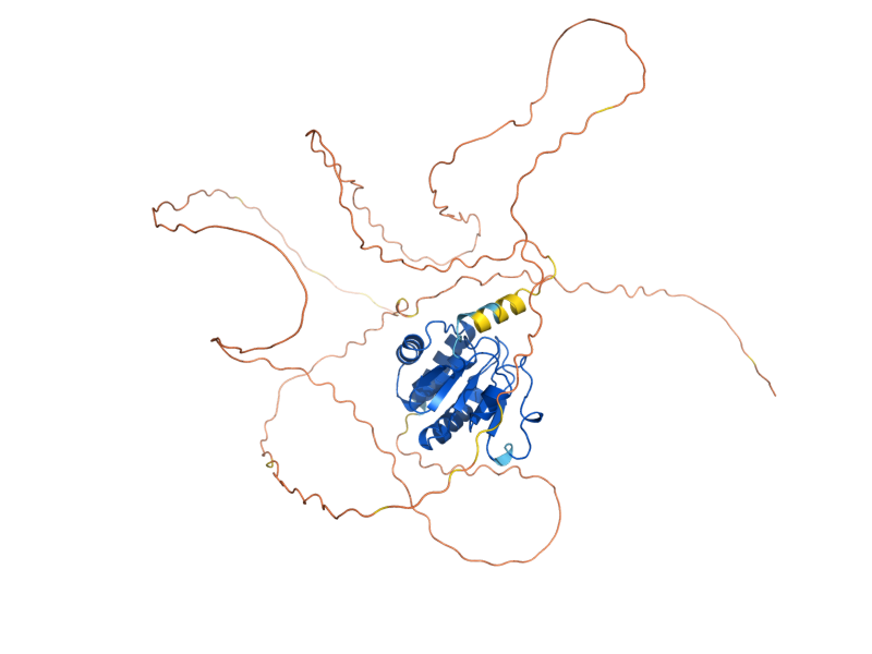 AlphaFold predicted structure of MSG5