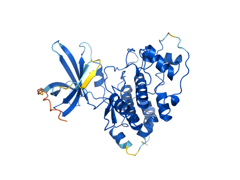 AlphaFold predicted structure of RIM11