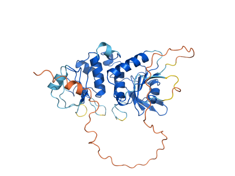 AlphaFold predicted structure of YGP1